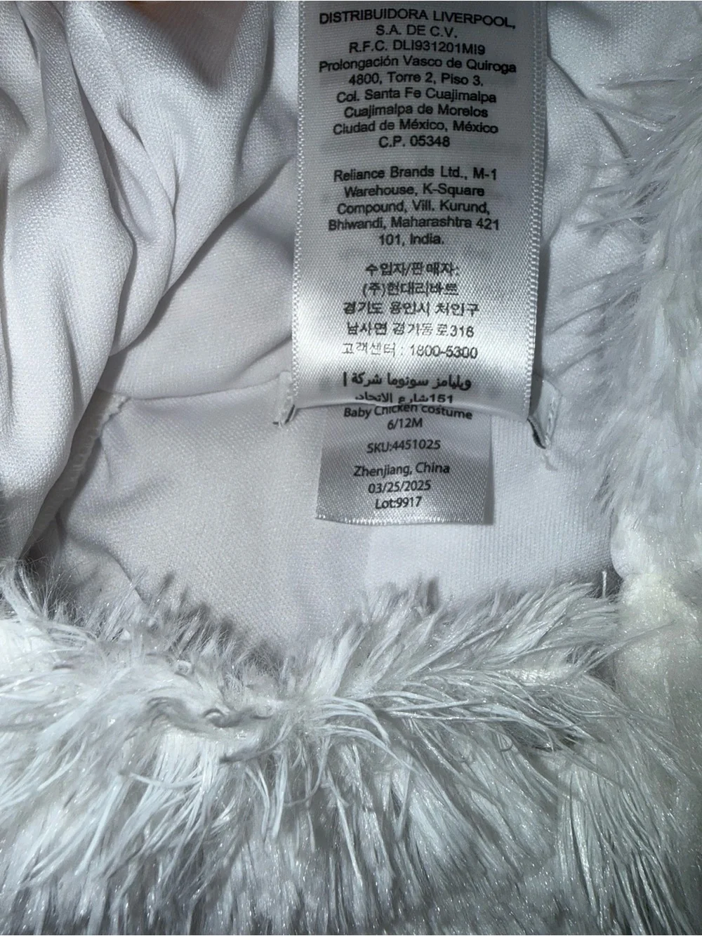 Pottery Barn Kids chicken costume - Picture 4 of 5